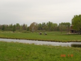 Food Plots On the Property