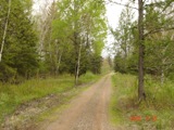 Elevated access trails acroos the property